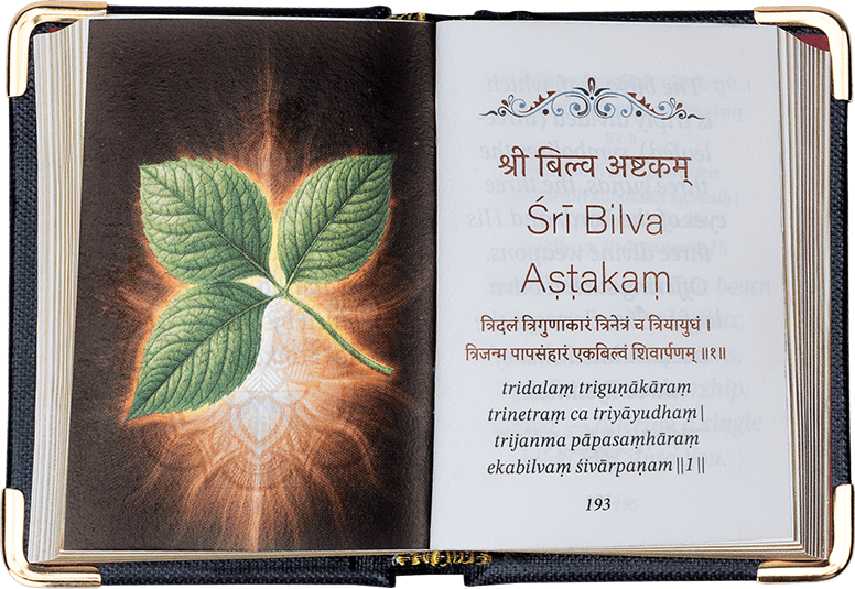 Sacred Stotras A8 Size – English