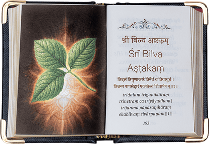 Sacred Stotras A8 Size – English