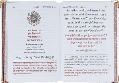 Gems of Chanakya Niti English - Hardcover – A6 Size